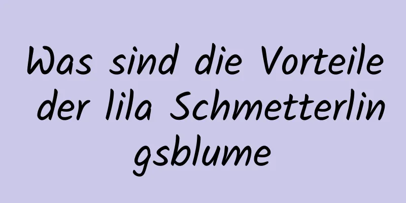 Was sind die Vorteile der lila Schmetterlingsblume