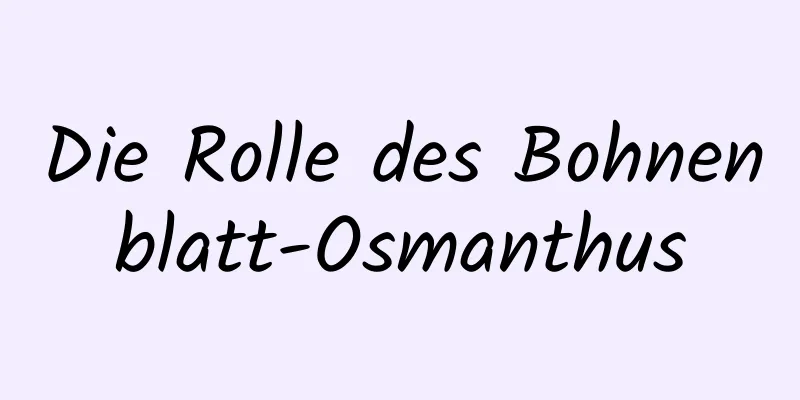 Die Rolle des Bohnenblatt-Osmanthus