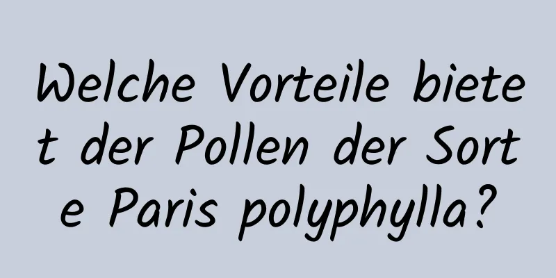 Welche Vorteile bietet der Pollen der Sorte Paris polyphylla?