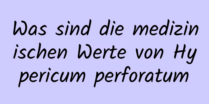 Was sind die medizinischen Werte von Hypericum perforatum