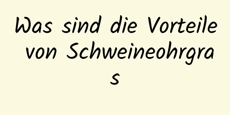 Was sind die Vorteile von Schweineohrgras