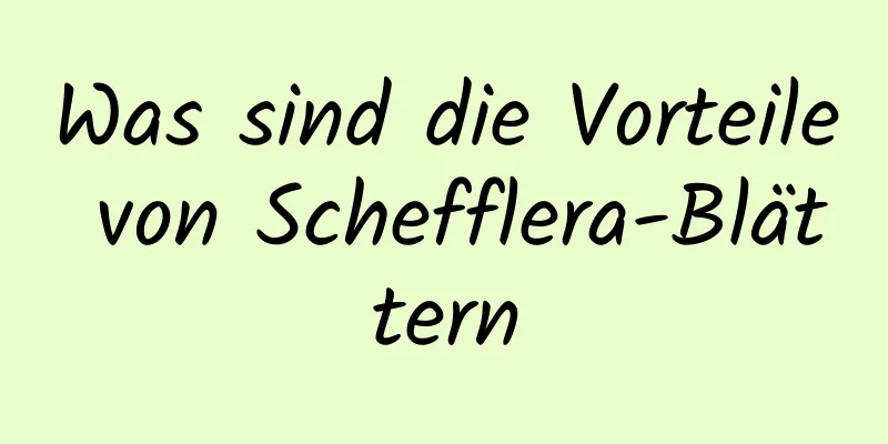 Was sind die Vorteile von Schefflera-Blättern