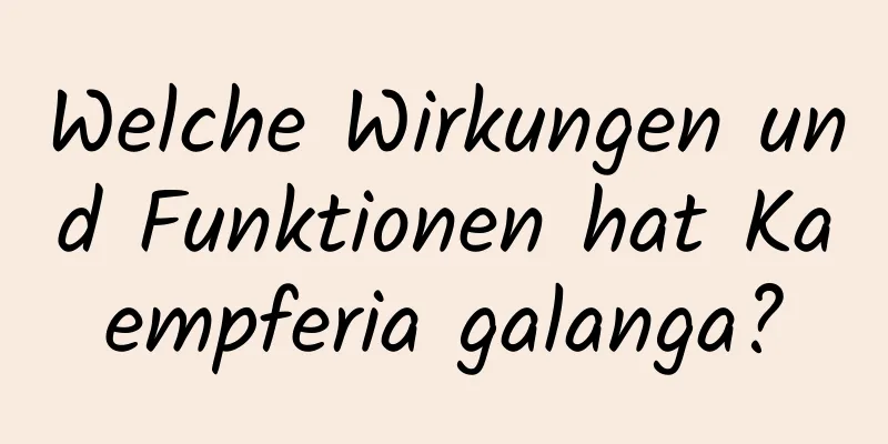 Welche Wirkungen und Funktionen hat Kaempferia galanga?