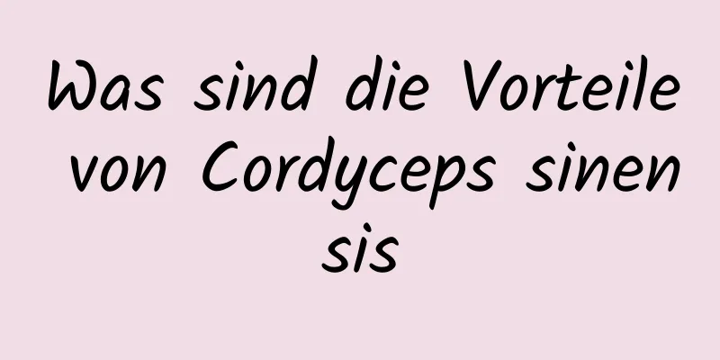 Was sind die Vorteile von Cordyceps sinensis