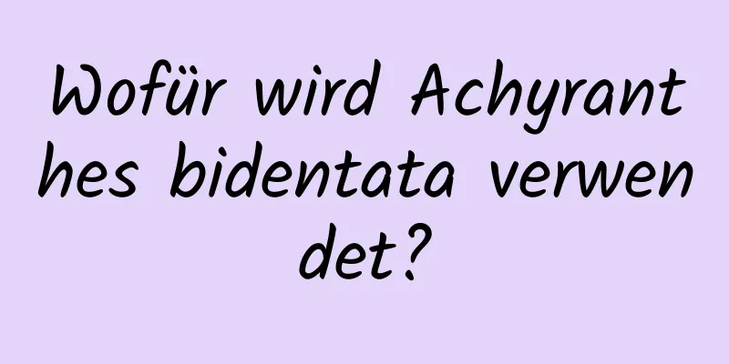 Wofür wird Achyranthes bidentata verwendet?