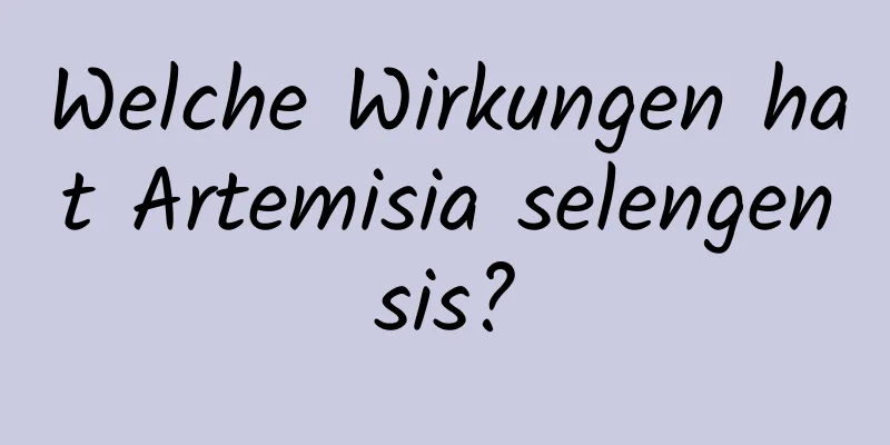 Welche Wirkungen hat Artemisia selengensis?