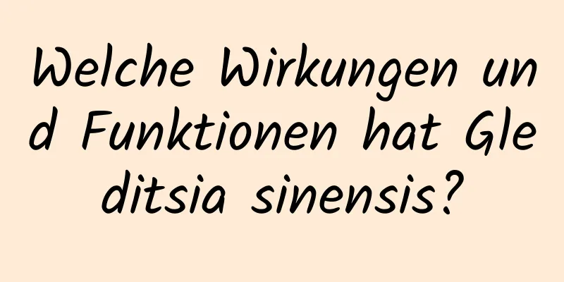 Welche Wirkungen und Funktionen hat Gleditsia sinensis?