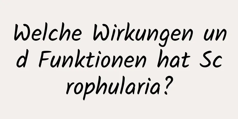 Welche Wirkungen und Funktionen hat Scrophularia?