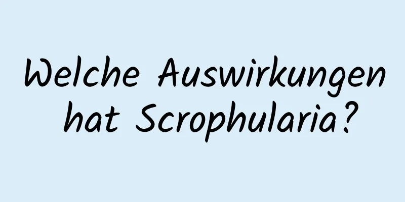 Welche Auswirkungen hat Scrophularia?