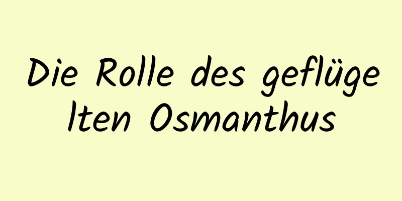 Die Rolle des geflügelten Osmanthus