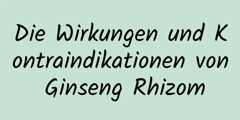 Die Wirkungen und Kontraindikationen von Ginseng Rhizom