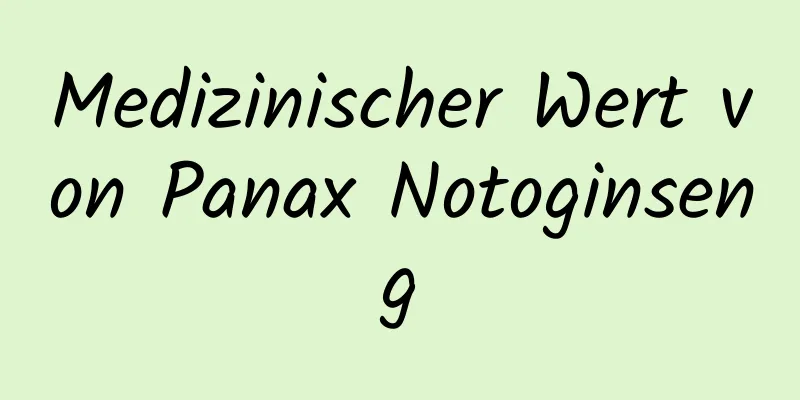 Medizinischer Wert von Panax Notoginseng