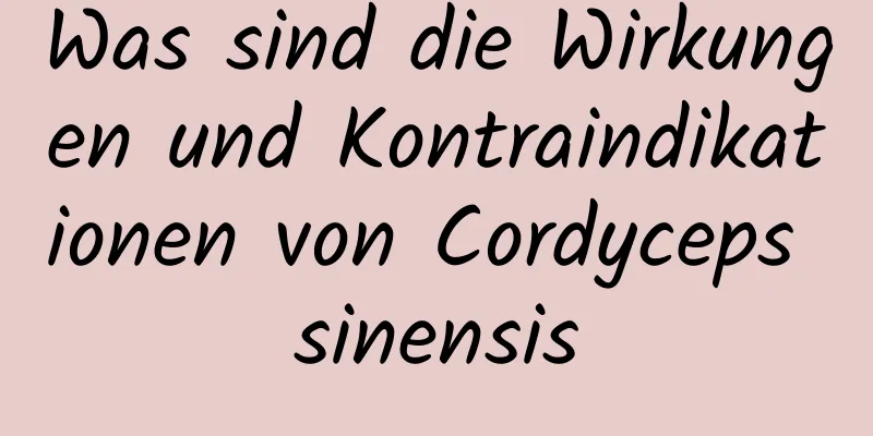 Was sind die Wirkungen und Kontraindikationen von Cordyceps sinensis