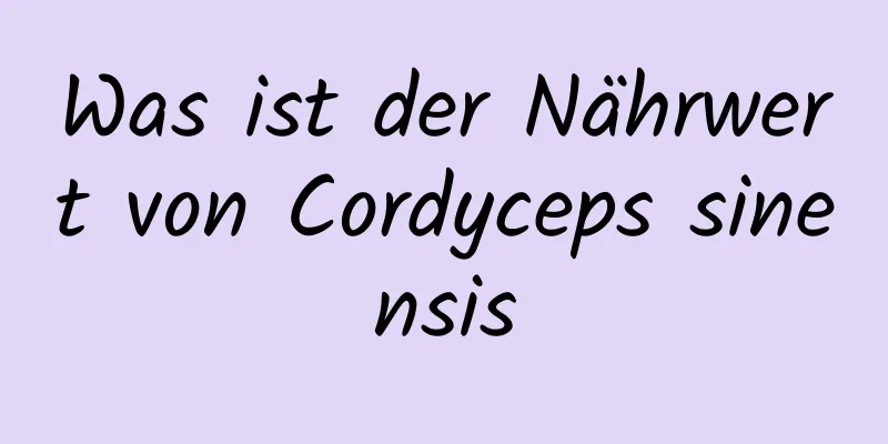 Was ist der Nährwert von Cordyceps sinensis