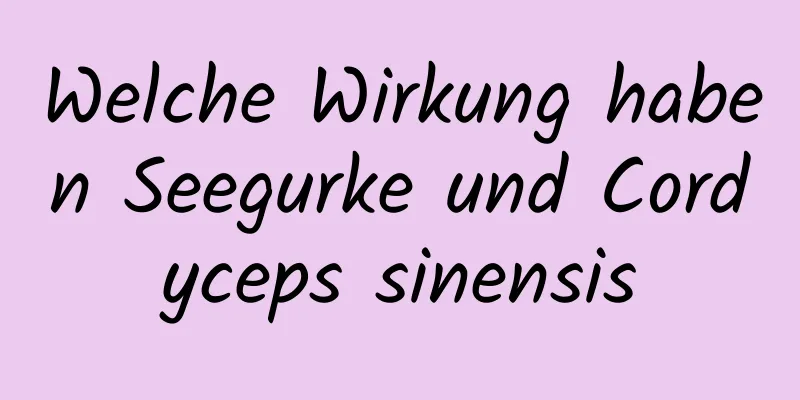 Welche Wirkung haben Seegurke und Cordyceps sinensis