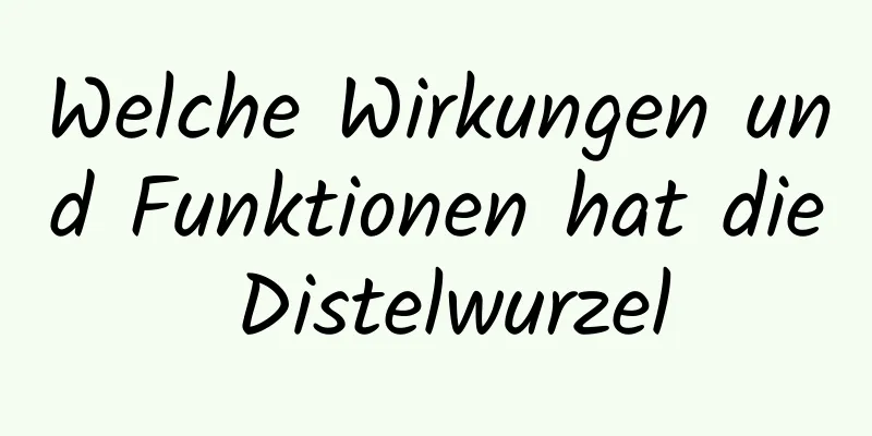 Welche Wirkungen und Funktionen hat die Distelwurzel