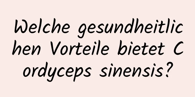 Welche gesundheitlichen Vorteile bietet Cordyceps sinensis?