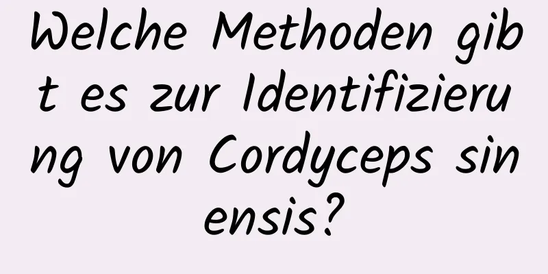 Welche Methoden gibt es zur Identifizierung von Cordyceps sinensis?