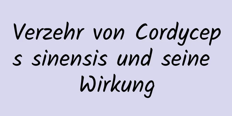 Verzehr von Cordyceps sinensis und seine Wirkung