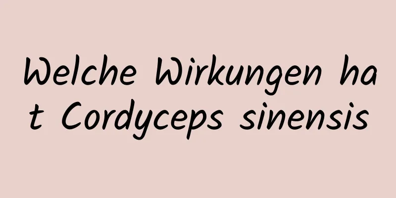 Welche Wirkungen hat Cordyceps sinensis