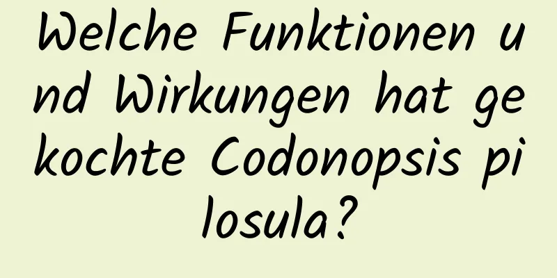 Welche Funktionen und Wirkungen hat gekochte Codonopsis pilosula?