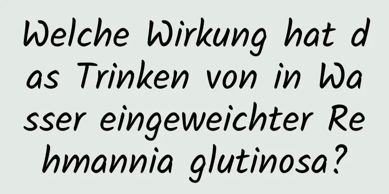 Welche Wirkung hat das Trinken von in Wasser eingeweichter Rehmannia glutinosa?