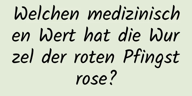 Welchen medizinischen Wert hat die Wurzel der roten Pfingstrose?