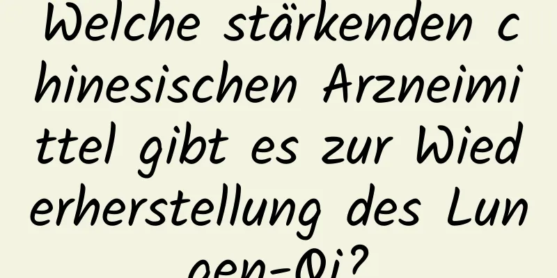 Welche stärkenden chinesischen Arzneimittel gibt es zur Wiederherstellung des Lungen-Qi?