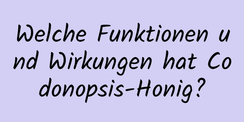 Welche Funktionen und Wirkungen hat Codonopsis-Honig?