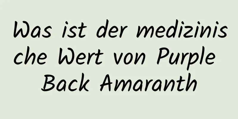 Was ist der medizinische Wert von Purple Back Amaranth