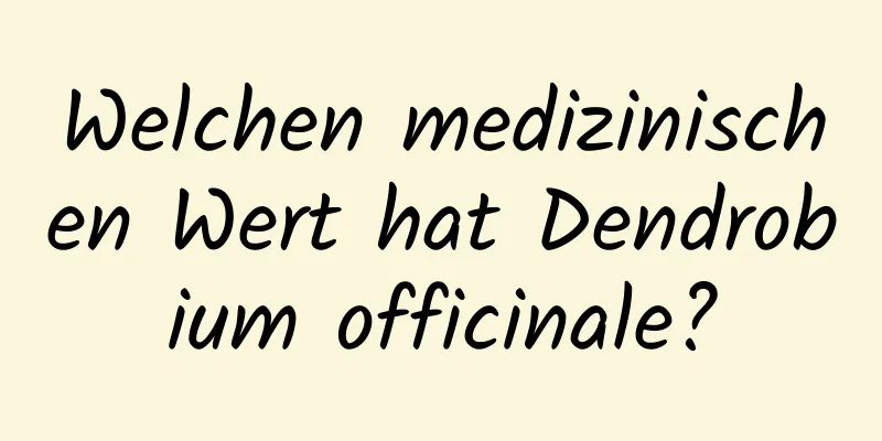 Welchen medizinischen Wert hat Dendrobium officinale?