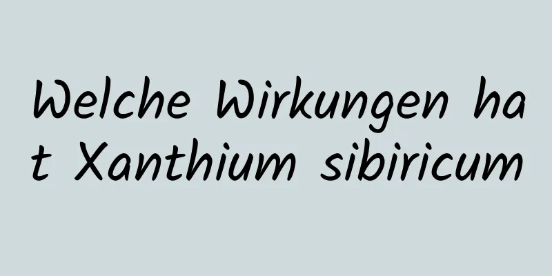 Welche Wirkungen hat Xanthium sibiricum