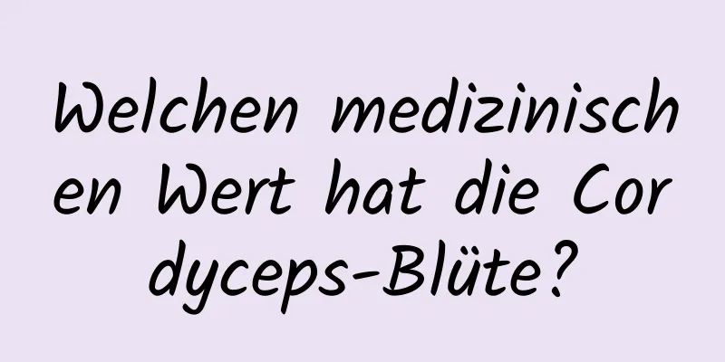 Welchen medizinischen Wert hat die Cordyceps-Blüte?