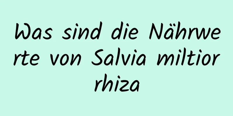 Was sind die Nährwerte von Salvia miltiorrhiza