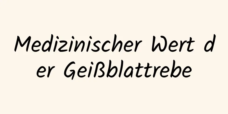 Medizinischer Wert der Geißblattrebe