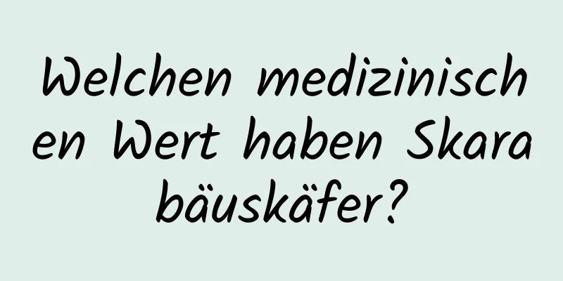 Welchen medizinischen Wert haben Skarabäuskäfer?