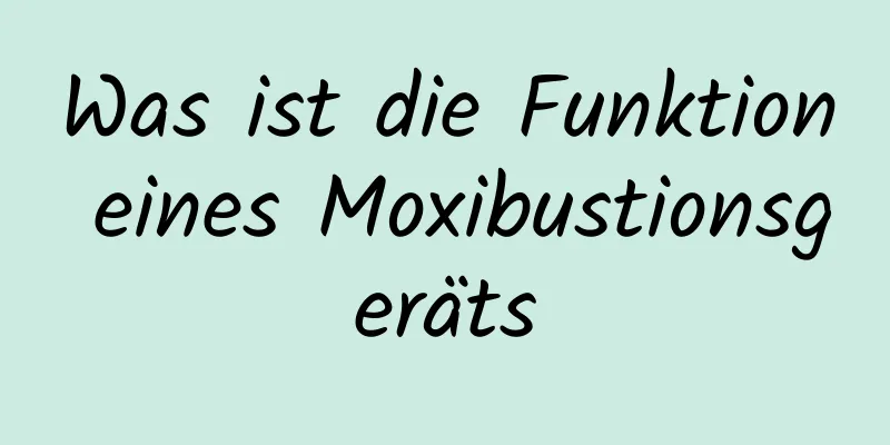 Was ist die Funktion eines Moxibustionsgeräts