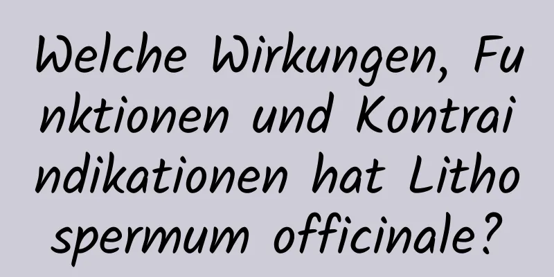 Welche Wirkungen, Funktionen und Kontraindikationen hat Lithospermum officinale?