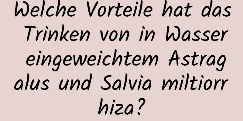 Welche Vorteile hat das Trinken von in Wasser eingeweichtem Astragalus und Salvia miltiorrhiza?