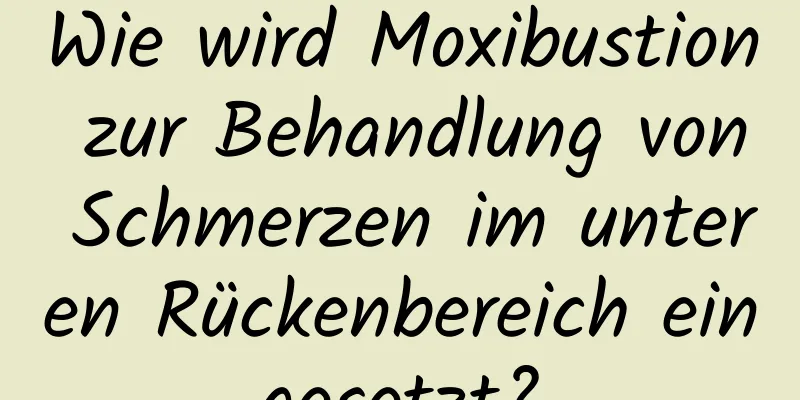 Wie wird Moxibustion zur Behandlung von Schmerzen im unteren Rückenbereich eingesetzt?