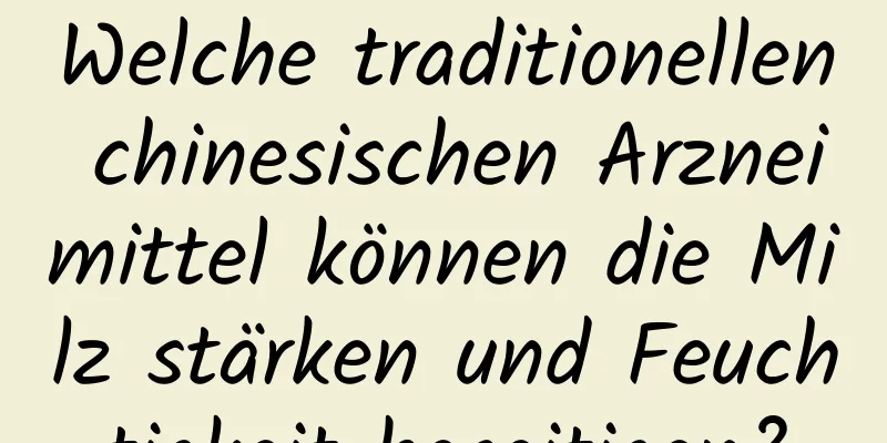 Welche traditionellen chinesischen Arzneimittel können die Milz stärken und Feuchtigkeit beseitigen?