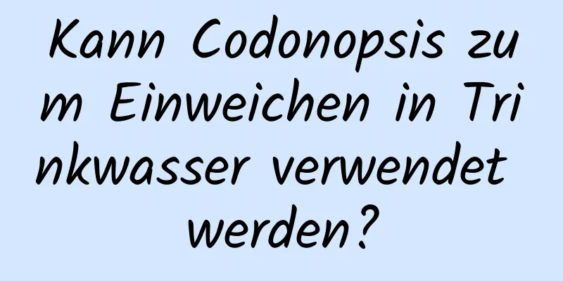 Kann Codonopsis zum Einweichen in Trinkwasser verwendet werden?