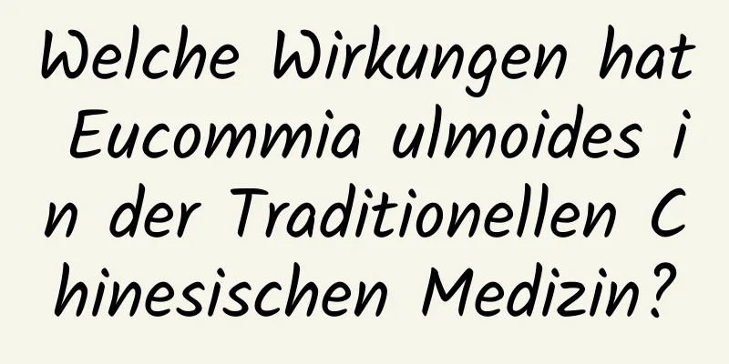 Welche Wirkungen hat Eucommia ulmoides in der Traditionellen Chinesischen Medizin?