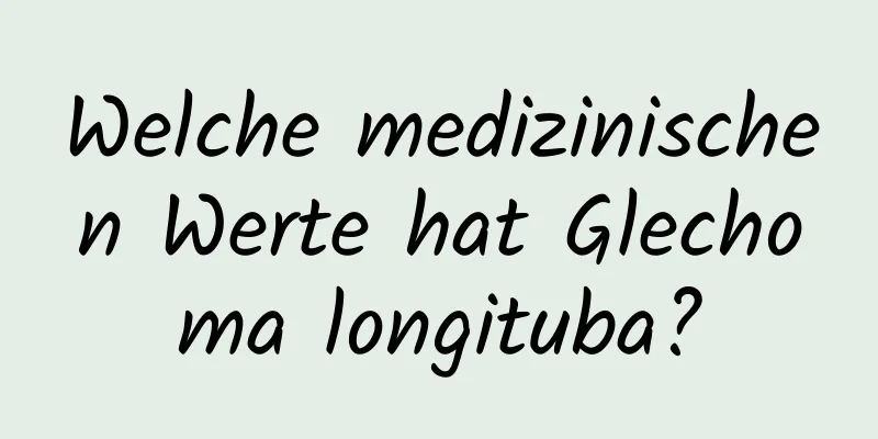 Welche medizinischen Werte hat Glechoma longituba?