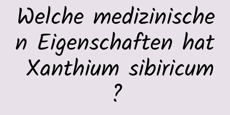 Welche medizinischen Eigenschaften hat Xanthium sibiricum?