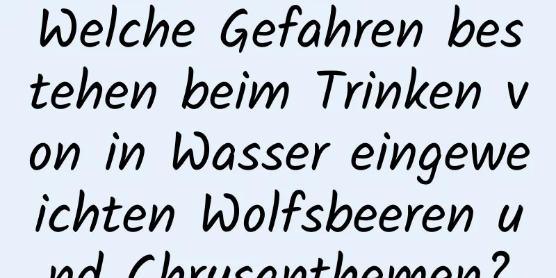 Welche Gefahren bestehen beim Trinken von in Wasser eingeweichten Wolfsbeeren und Chrysanthemen?