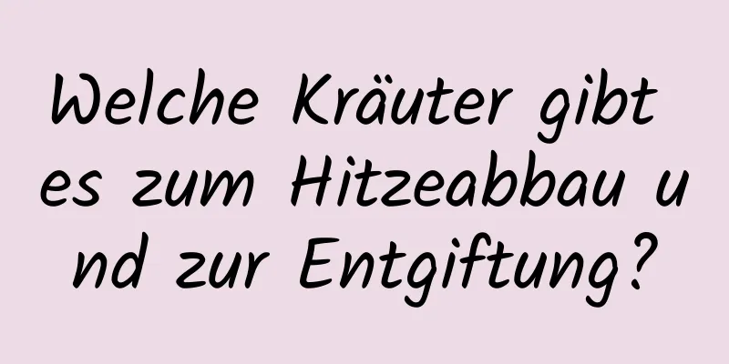 Welche Kräuter gibt es zum Hitzeabbau und zur Entgiftung?