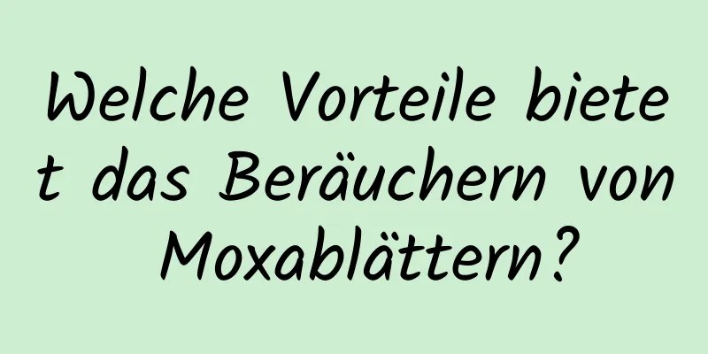 Welche Vorteile bietet das Beräuchern von Moxablättern?