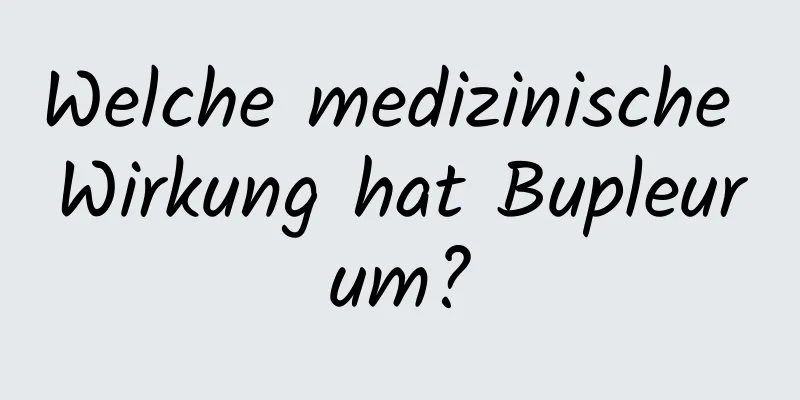 Welche medizinische Wirkung hat Bupleurum?