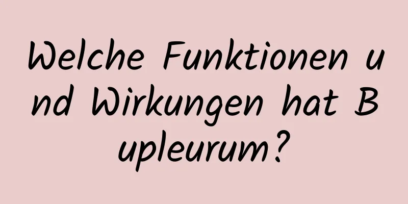 Welche Funktionen und Wirkungen hat Bupleurum?